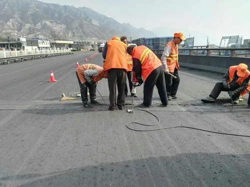 江阴道路桥梁病害治理